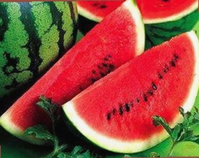 吃瓜视频热潮背后：揭秘娱乐圈直播八卦的真实脉络