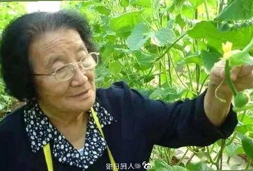双插大赛火热开启！长沙网友大声发拔得头筹？