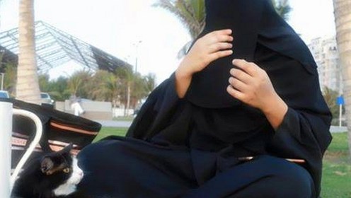 娱乐圈吃瓜时间线：从素材无水印到夜宵狂欢，网红视频热度不减🔥