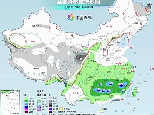 猫捉鸟事件引发热议，娱乐圈吃瓜福利层出不穷