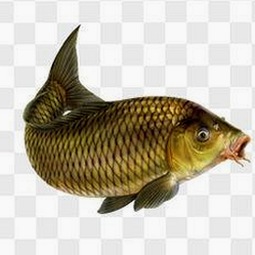 老公一见我就吸奶?揭秘哺乳期夫妻那些爱意十足的小互动