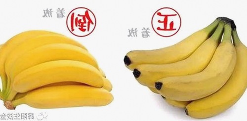 成毅童谣双星闪耀：从低调演技派到昔日歌坛风云的跌宕人生