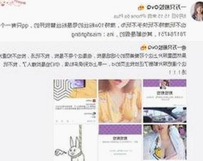 从“吃瓜”到娱乐圈门票：揭秘网络表情包与忠实粉丝背后的真实图景